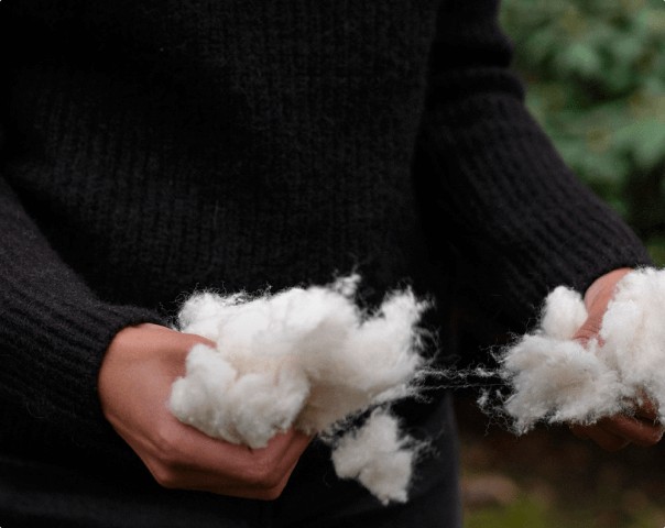 osoba držící v rukou čerstvou bavlnu
