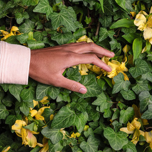 En hand som rör vid blad och blommor